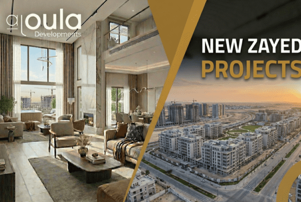 New Zayed Projects