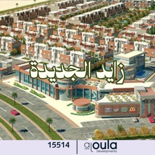 زايد الجديدة