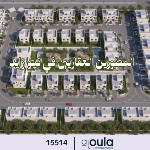 المطورين العقاريين في نيو زايد