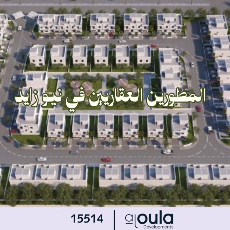 المطورين العقاريين في نيو زايد