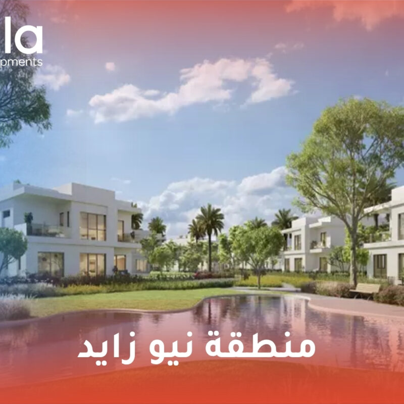 منطقة نيو زايد