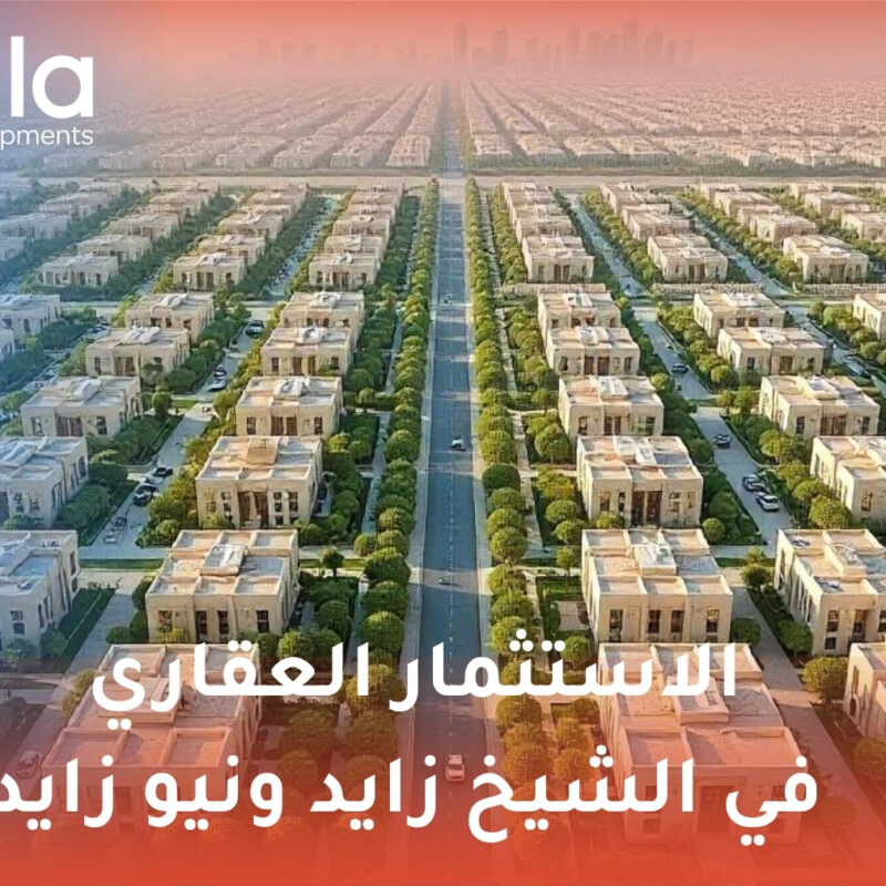 الاستثمار العقاري في الشيخ زايد ونيو زايد