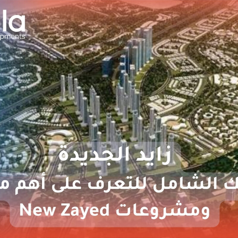 زايد الجديدة
